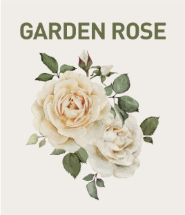 Vůně Garden Rose - Bílá růže