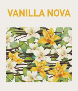Vůně Vannila Nova - Vanilka